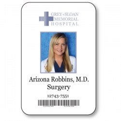 Arizona Robbins BADGE HALLOWEEN COSTUME Greys Anatomy BADGE HALLOWEEN Costume Accessory